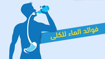 فوائد الماء للكلى