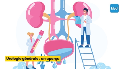 Urologie générale : un aperçu