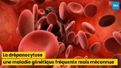 La drépanocytose : une maladie génétique fréquente mais méconnue